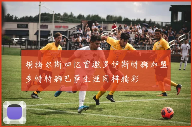 胡梅尔斯回忆曾邀罗伊斯特狮加盟多特特狮巴萨生涯同样精彩